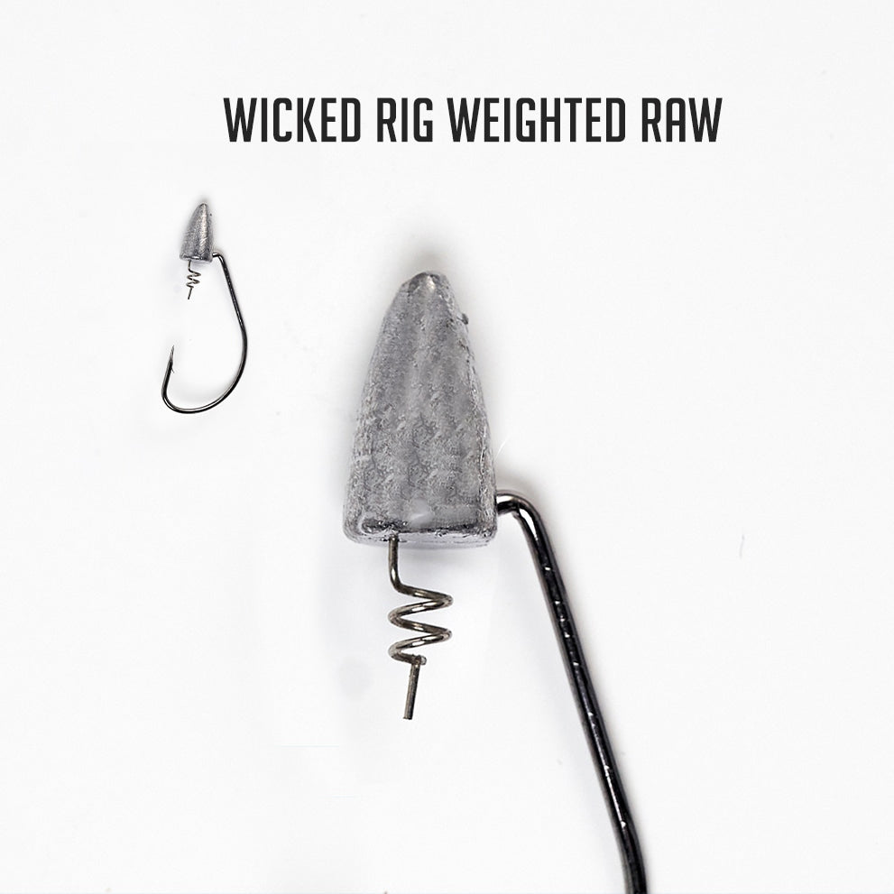 wicked rig｜TikTok Search